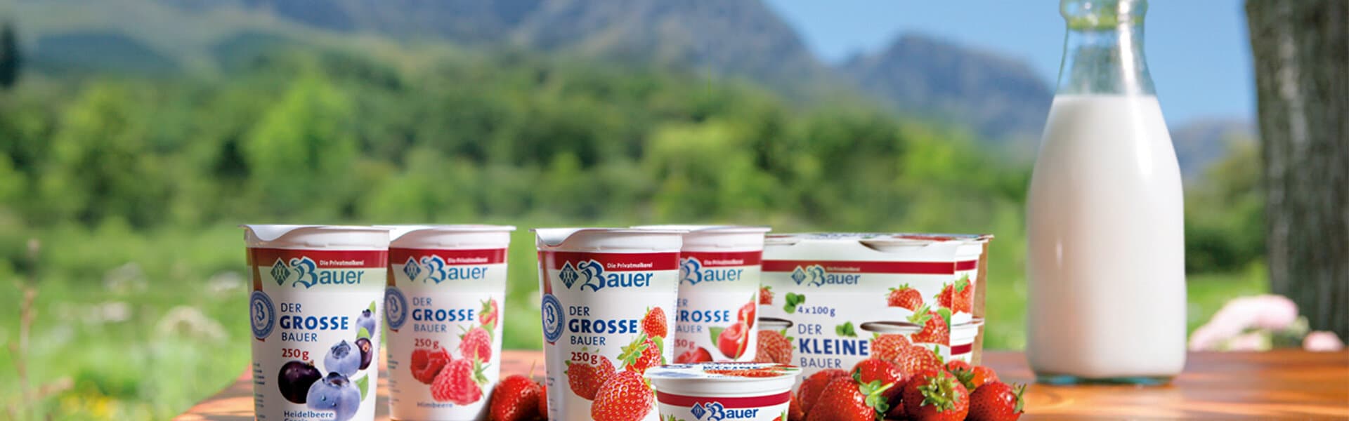 Privatmolkerei Bauer Webauftritt