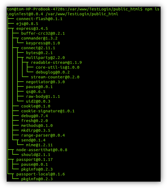 Auslistung der verwendeten Module eines Node.js Projektes in der Konsole mit Hilfe des npm